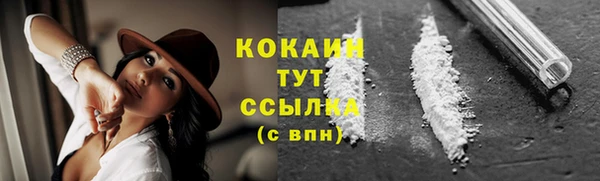 spice Алексин